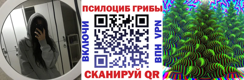купить наркоту  Горячеводский  Псилоцибиновые грибы Psilocybe 